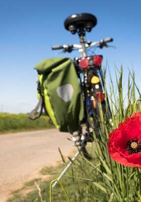 ride and relax ride and relax 1